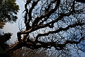 Parco Europa Autunno_015